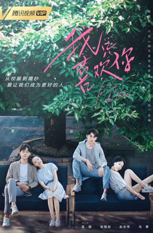 我只喜欢你