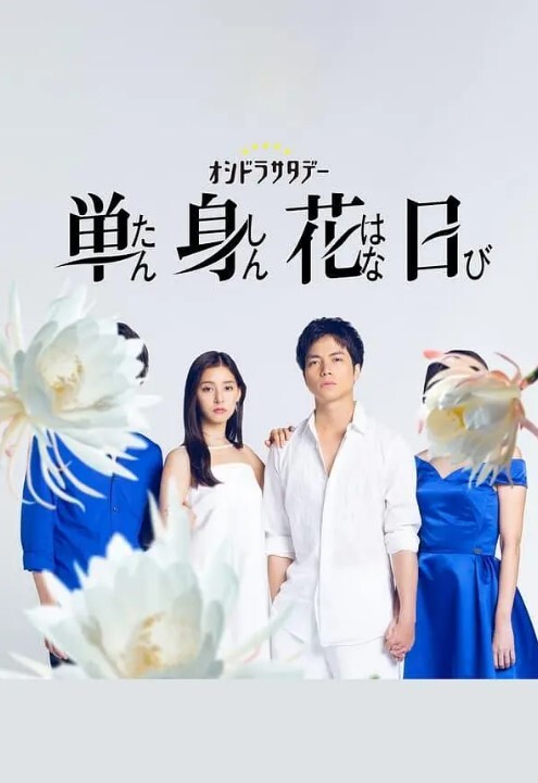 单身初恋日记