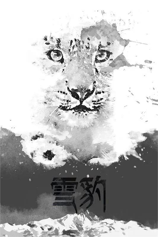 雪豹 2015