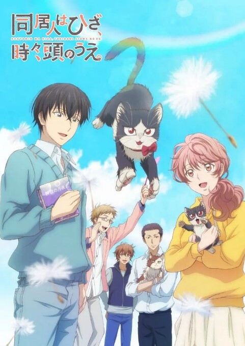 同居人是猫