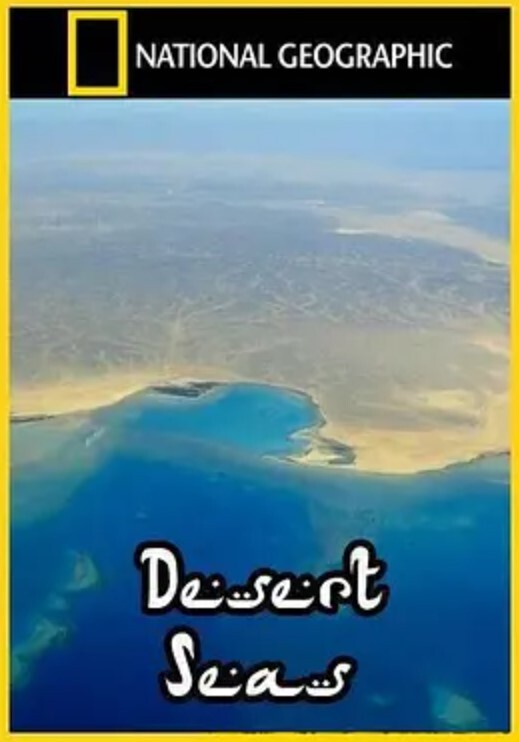 沙漠海
