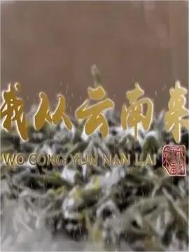 我从云南来