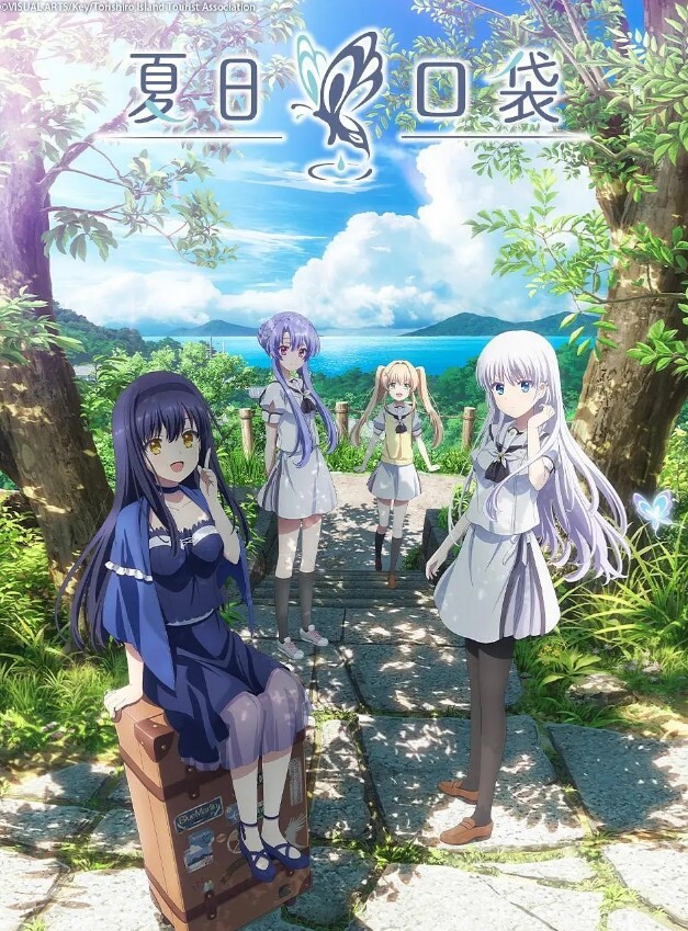 夏日口袋