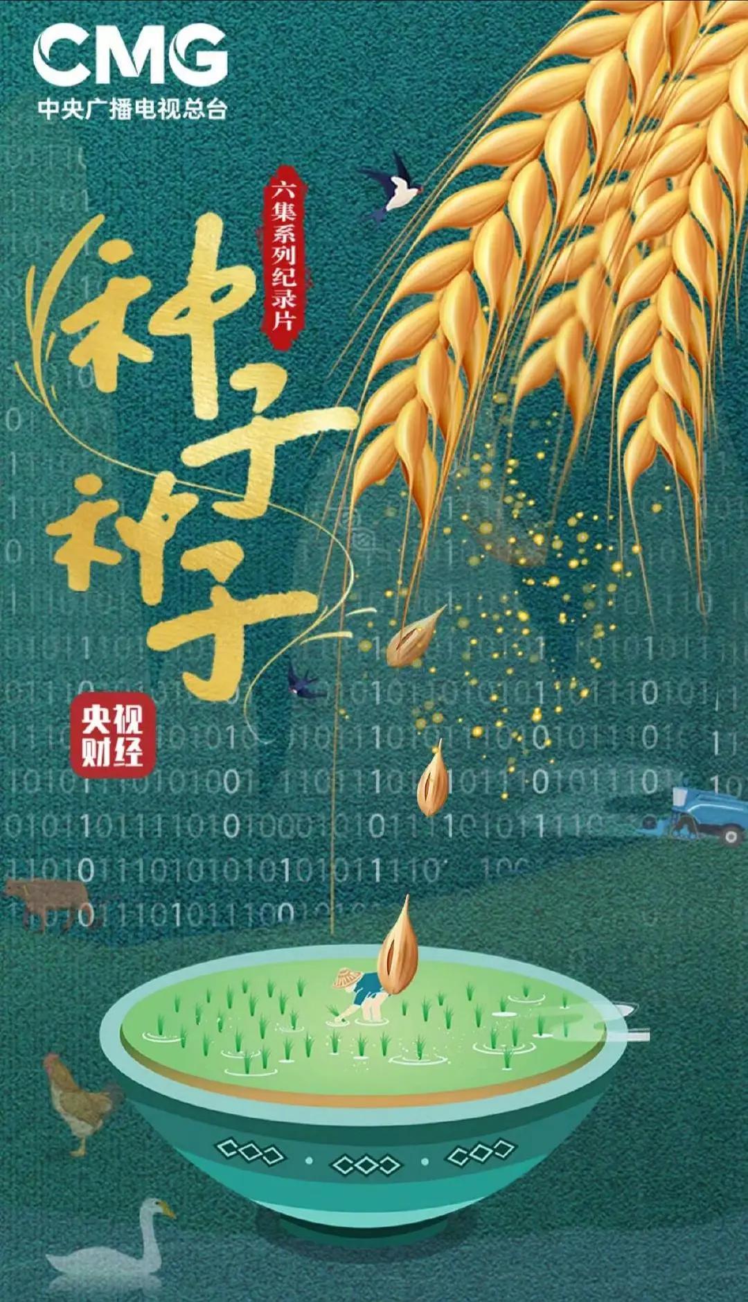 种子