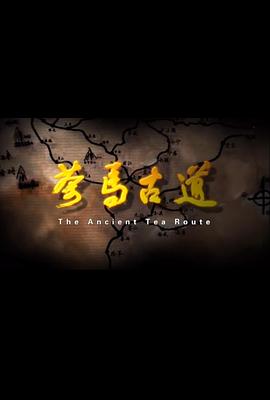 茶马古道2011