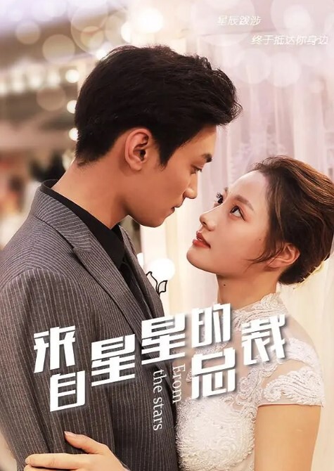 来自星星的总裁