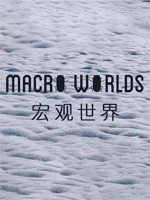 宏观世界 2017