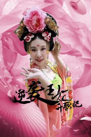 逆袭王妃升职记