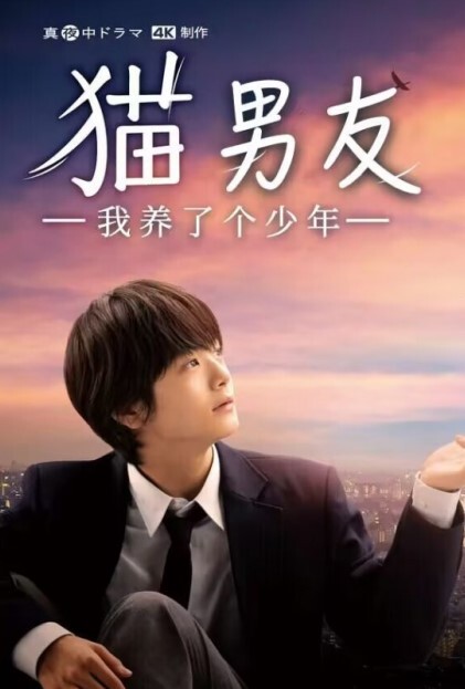 我养了个少年