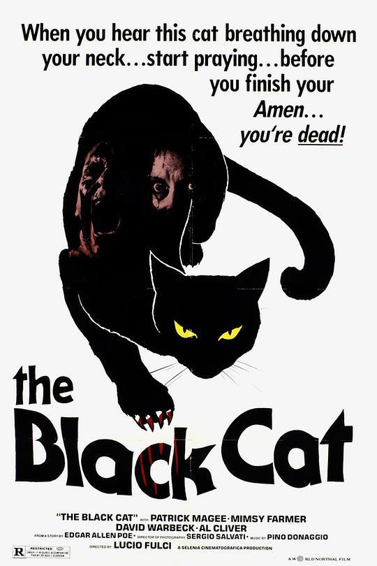 黑猫 1981