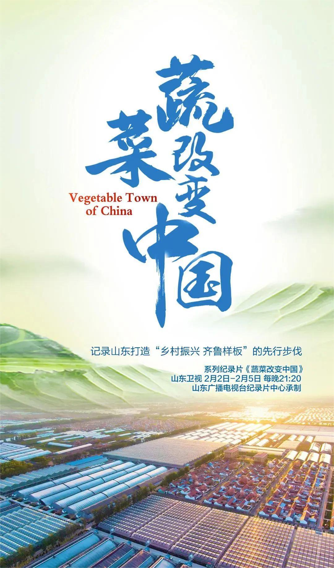 蔬菜改变中国