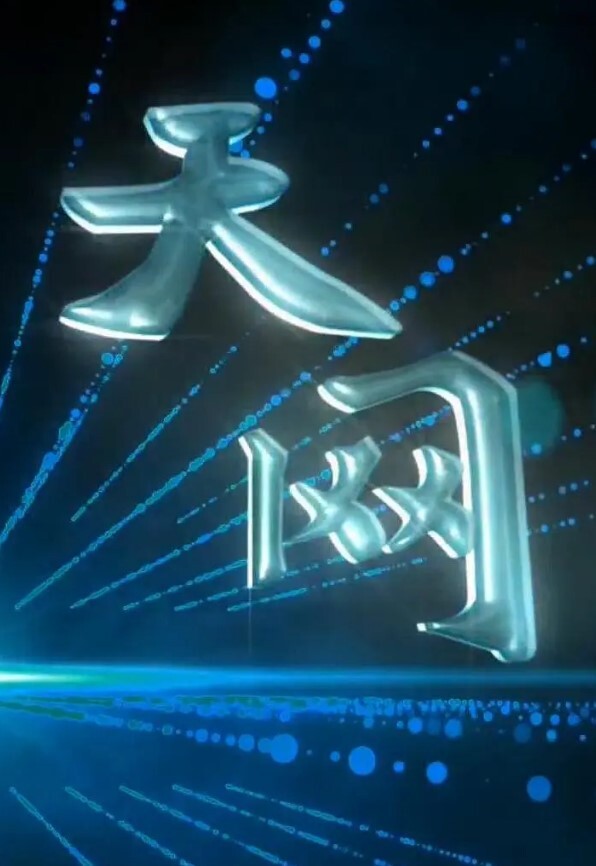 天网 2024