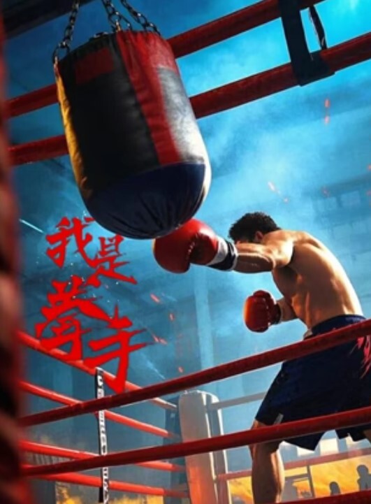 我是拳手