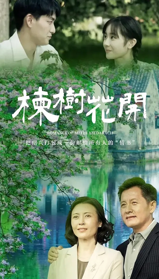楝树花开
