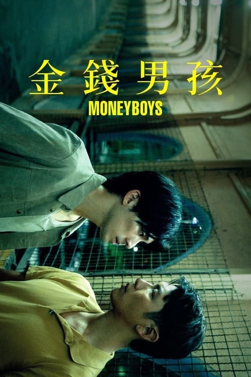 金钱男孩
