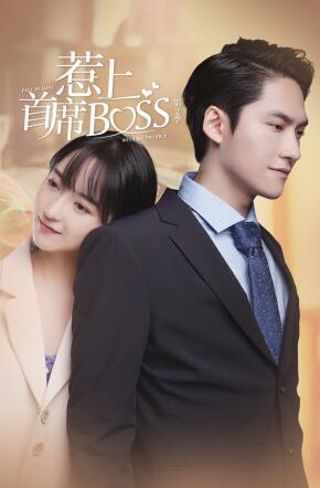 惹上首席BOSS 第二季