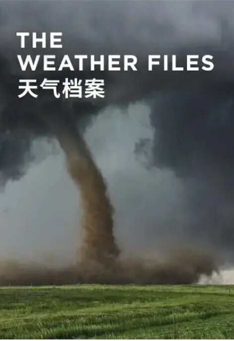 天气档案